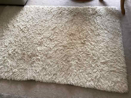 Photo of free Wool rug (Christleton CH3) #1