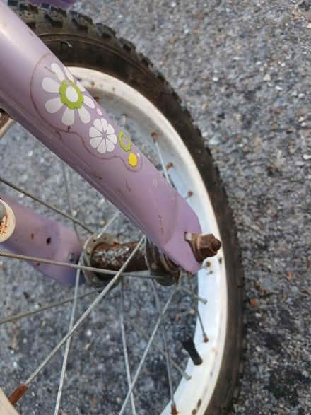 Photo of free Girls bike 14" (Putnoe MK41) #4