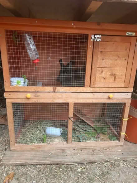 Photo of free Rabbit hutch (UB7) #1