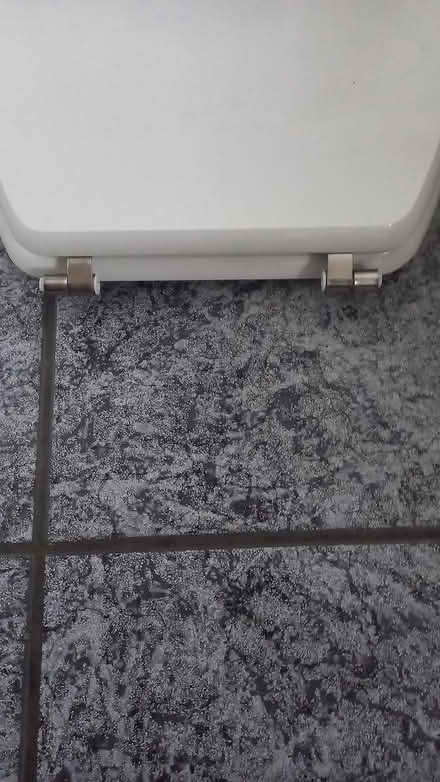 Photo of free White toilet seat (burmantofts LS9) #2