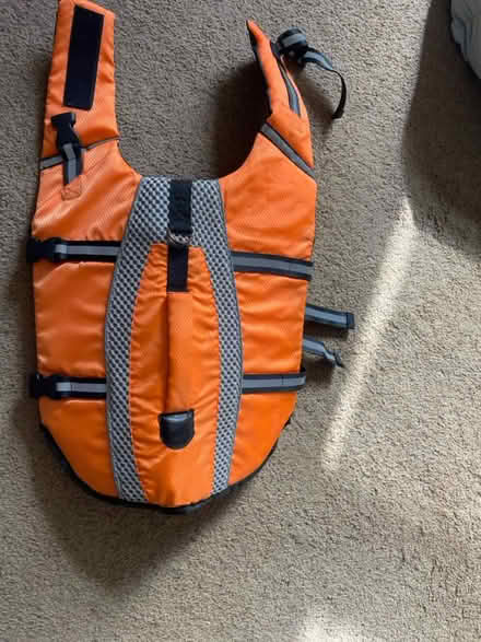 Photo of free Dog life jacket (Torquay TQ1) #2