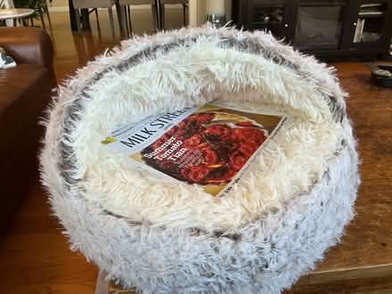 Photo of free Small dog bed (Los Altos, CA) #2