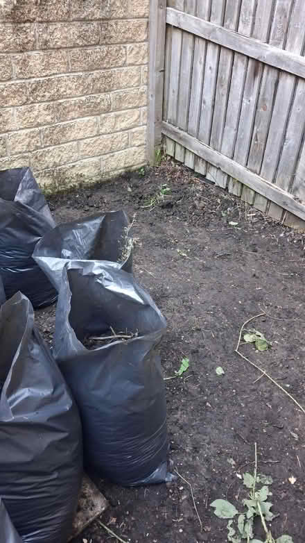 Photo of free Loose top soil (Idle) #4