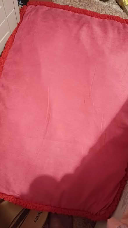 Photo of free Pink dog bed (Chineham RG24) #1