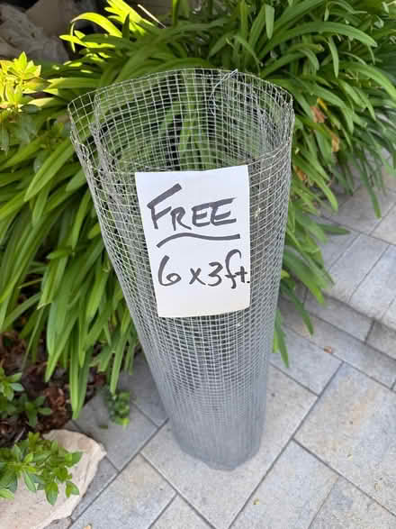 Photo of free Galvanized Wire Mesh (Oakland) #2