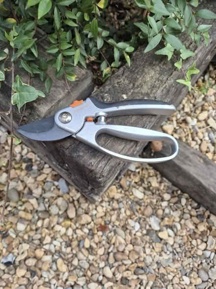 Photo of free Secateurs (Horsham RH12) #1