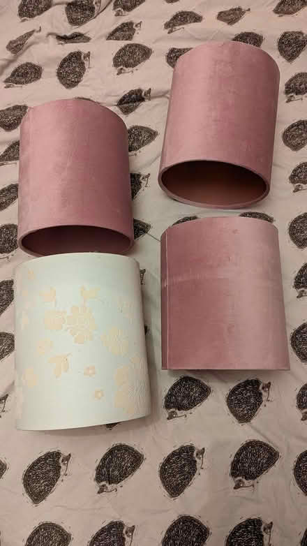 Photo of free Lampshades (Silverhill park TN34 2) #1
