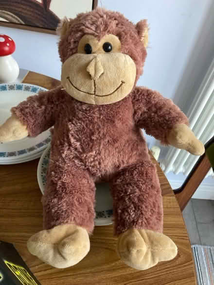 Photo of free Medium size cuddly monkey (Hg20bj HG2) #1