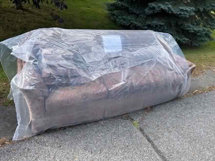 Photo of free 2 couches on street (Crestview) #1