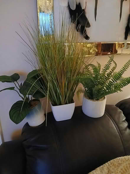 Photo of free 3 Artificial Potted Plants (Durham) #1