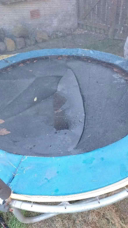 Photo of free trampoline (Linlithgow EH49) #2