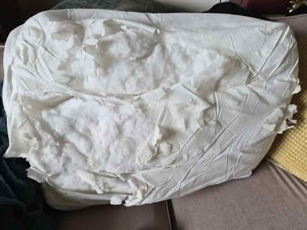 Photo of free 3 sofa cushions (Gwespyr CH8) #2