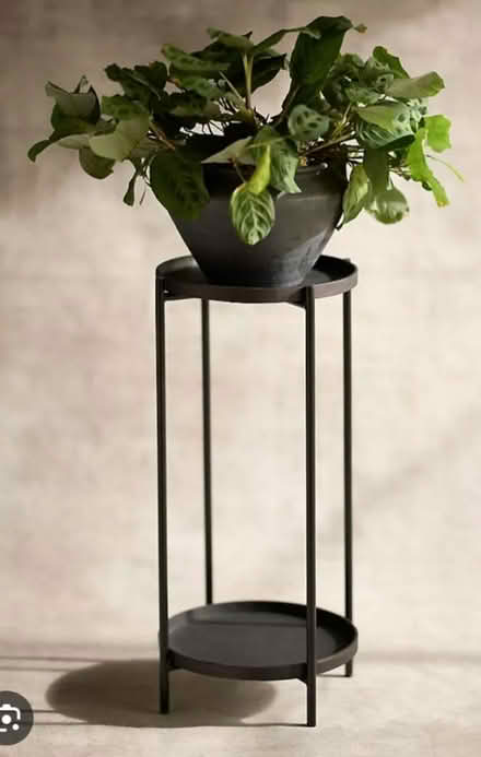 Photo of Plant stand (St Claire Gardens) #4