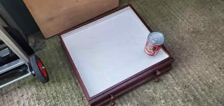 Photo of free 3 insect draws (Little Herberts GL53) #3