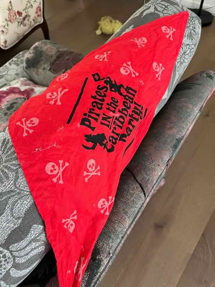 Photo of free Bag and head scarf for Halloween (Leigh High School) #2