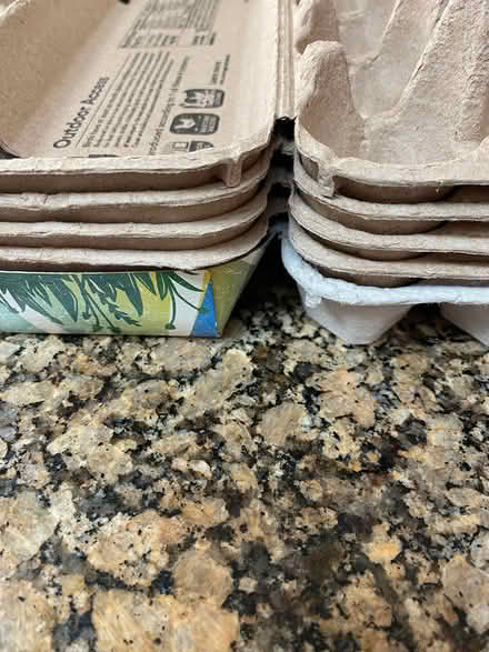 Photo of free Egg cartons (South Downers Grove near YMCA) #2