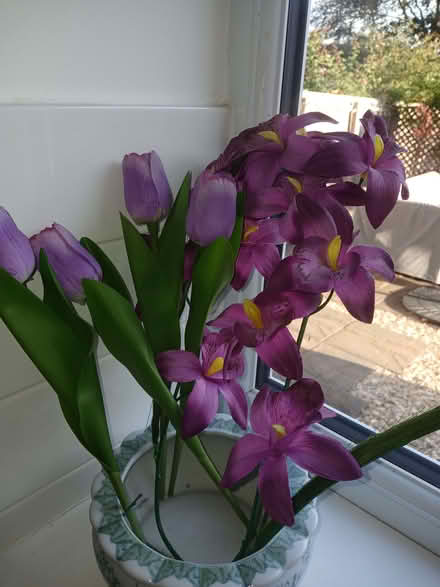 Photo of free Artificial flowers (Wenslade Park EX5) #1