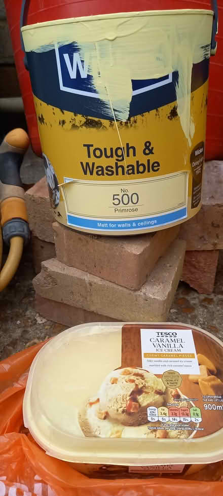 Photo of free Paint (Ashton Green BN8) #1