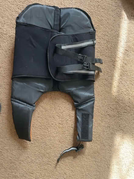 Photo of free Dog life jacket (Torquay TQ1) #3