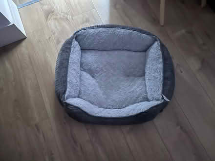Photo of free Medium dog bed (Borehamwood, WD6) #1