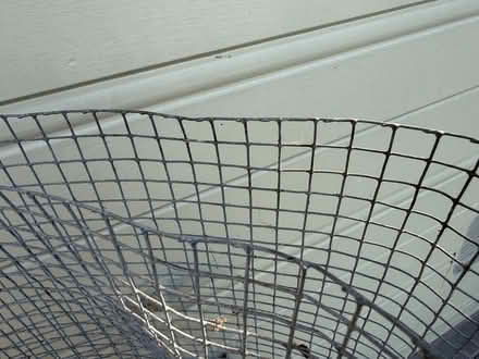 Photo of free Galvanized Wire Mesh (Oakland) #1