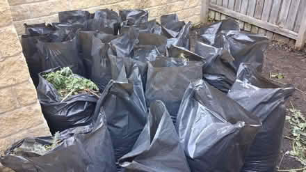 Photo of free Loose top soil (Idle) #3