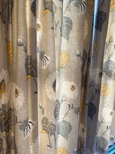Photo of free curtains with pole (Chiswick W4) #2