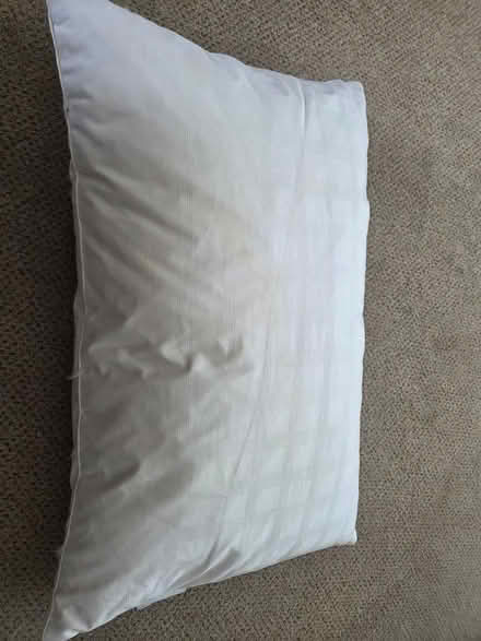 Photo of free 2 x old pillows (Duffield) #1