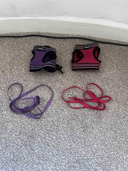 Photo of free RabbitGoo pet harnesses (x2) (Weoley Castle B29) #1