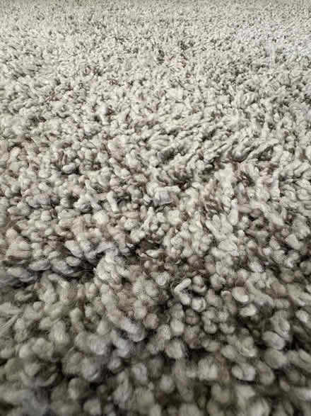 Photo of free 8’x10’ Mixed Gray High Pile Rug (Studio City) #4