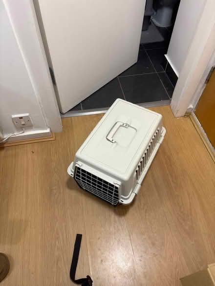 Photo of free cat transport (Wynford road N1) #2