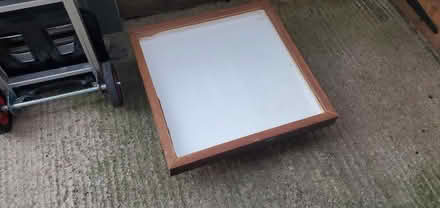 Photo of free 3 insect draws (Little Herberts GL53) #1