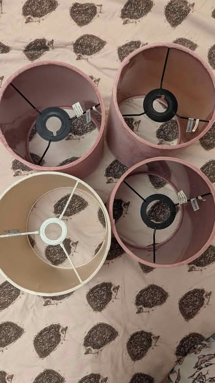Photo of free Lampshades (Silverhill park TN34 2) #2