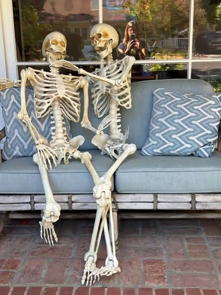 Photo of free 2 plastic skeleton (Redwood City near Sequoia Hosp) #1