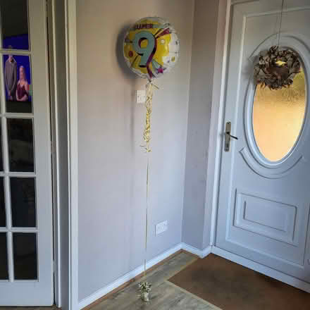 Photo of free Age 9 Balloon on weight (Fordham Heath CO3) #4