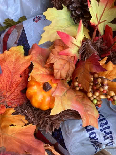 Photo of free Box of Autumn Decorations (Ryall WR8) #2