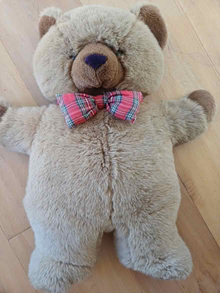 Photo of free Teddy bear (Kennington Ashford TN24) #1