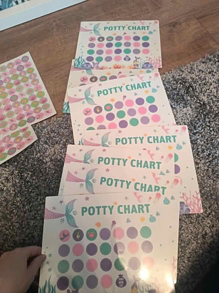 Photo of free Potty training charts (Droylsden M43) #1