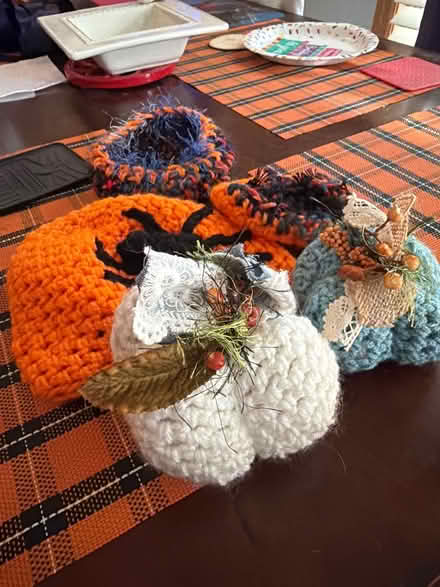 Photo of free Crochet “bowls” and pumpkins (Downers Grove) #1