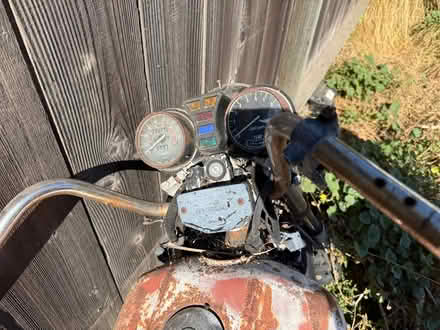 Photo of free Motorcycle (Hayward) #4