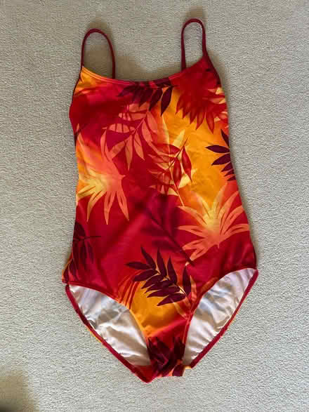 Photo of free Ladies Swimwear ( different styles) all sizes 10-12 (Farningham DA4) #1