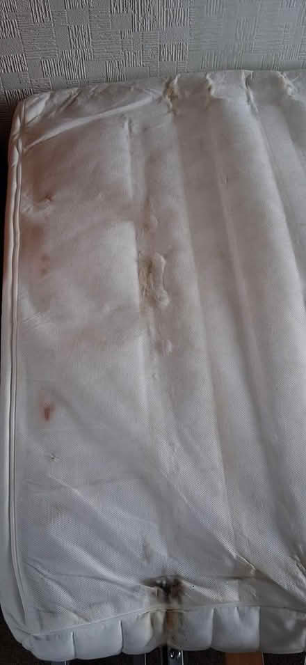 Photo of free Large IKEA sofa bed (Buckstone EH10) #3