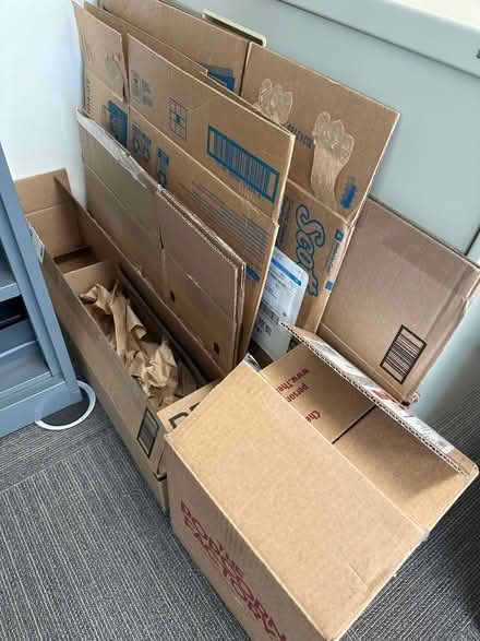 Photo of free Boxes and Packing Paper (Watertown, MA) #2