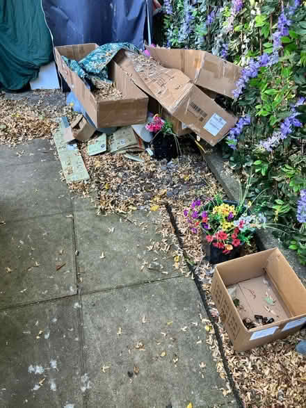 Photo of free Wood and cardboard (Ln50na) #3
