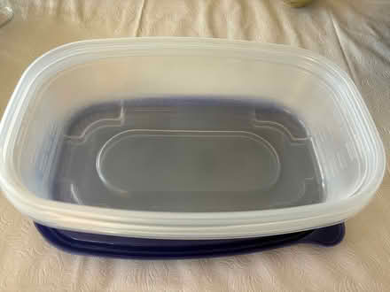 Photo of free Leftover containers with lids (new) (Oakland) #4