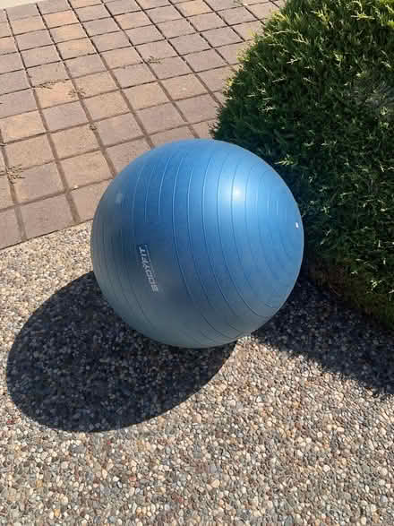 Photo of free Exercise ball (San Jose Cambrian) #1