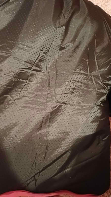 Photo of free Pink dog bed (Chineham RG24) #2