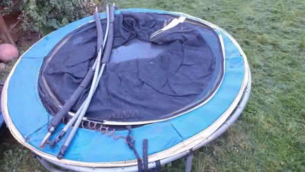 Photo of free trampoline (Linlithgow EH49) #3
