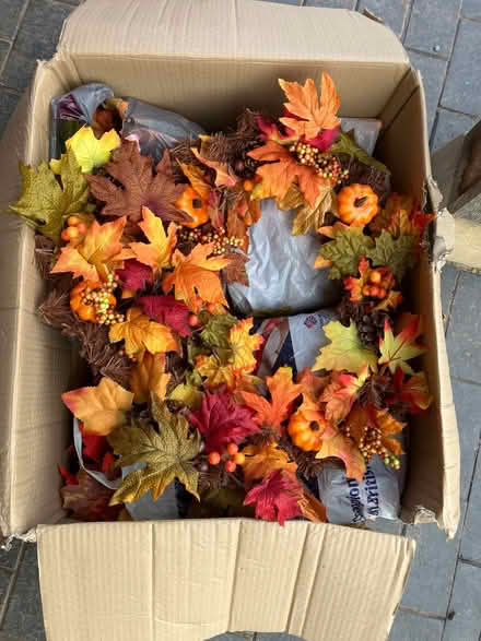 Photo of free Box of Autumn Decorations (Ryall WR8) #1