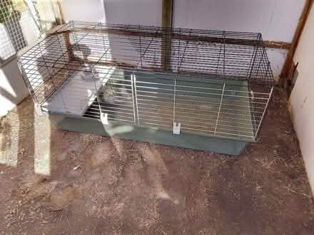 Photo of free Rabbit/other small rodent enclosure and accessories (Lexden CO3) #1